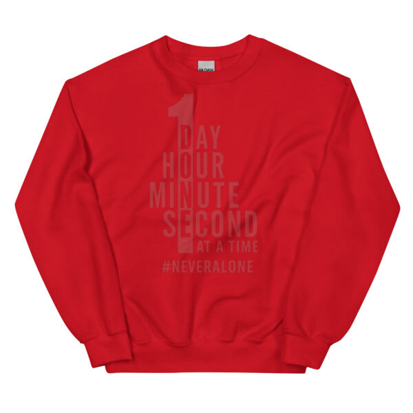 1 DAY Sweatshirt