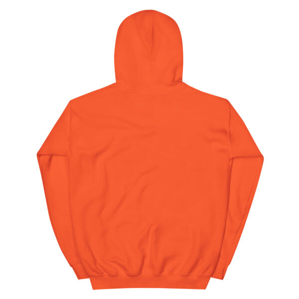 sober and stil 98% Hoodie