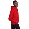 1 DAY Hoodie