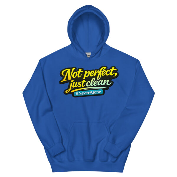 Not perfect, just clean Hoodie