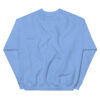 CLEAN Sweatshirt