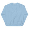 BELIEVE IN Sweatshirt