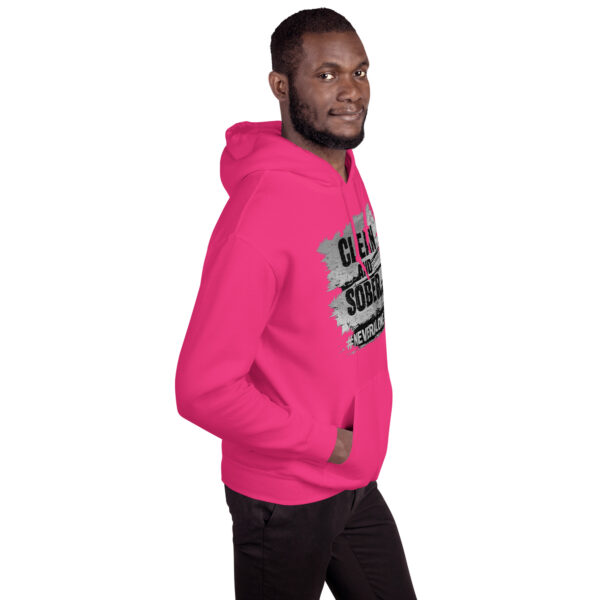 Clean and sober Hoodie
